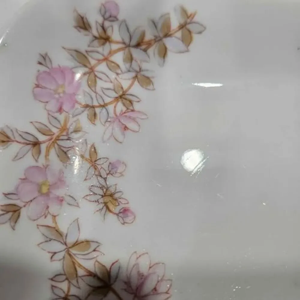 Vintage Marx & Gutherz Carlsbad Divided Floral Dish
